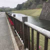 【金沢城】石垣を巡る