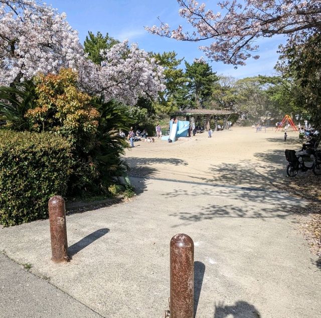 【電車と桜がみえる公園】阪急夙川駅すぐ！