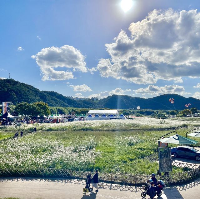 울산에서 제일 예쁜 관광지 태화강 국가정원
