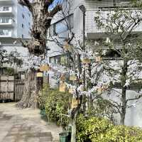 開運八社巡りでも有名な高輪神社