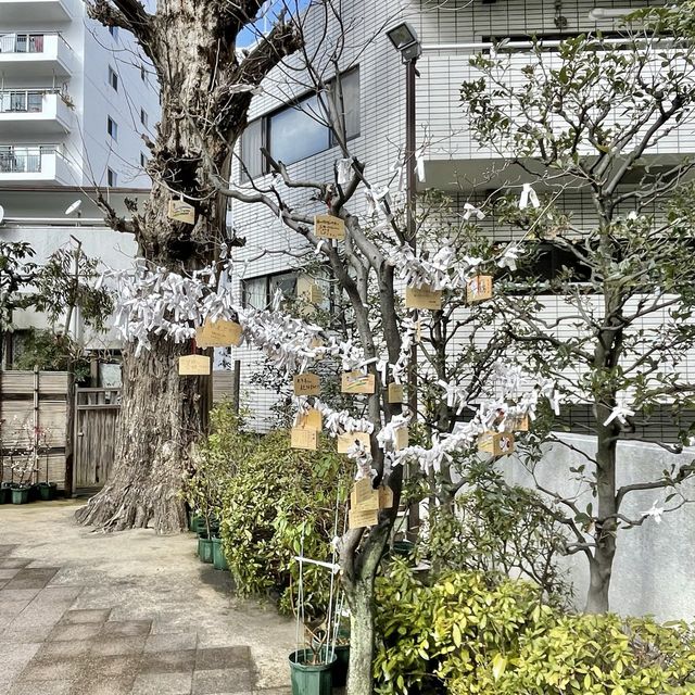 開運八社巡りでも有名な高輪神社