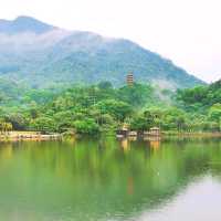 仙湖植物公園