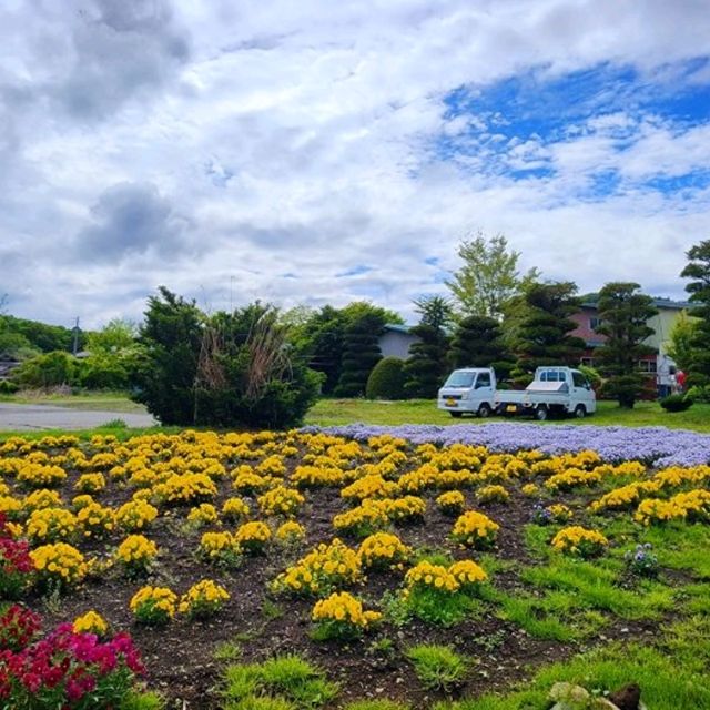  하코네국립공원 후지산과  HAKONE GEOMUSEUM 