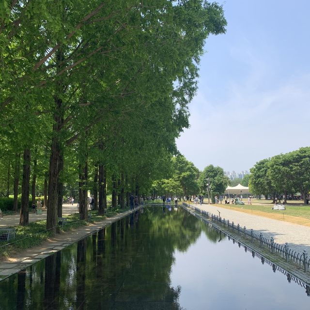 서울의 작은 숲속 여행지 ‘서울숲’