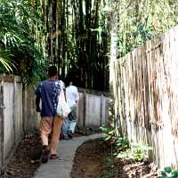 เตวแอ่ว คาเฟ่เฮาส์ @Take a Walk  