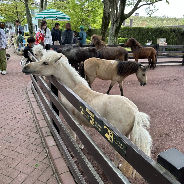 親親大動物 - 九州自然動物園