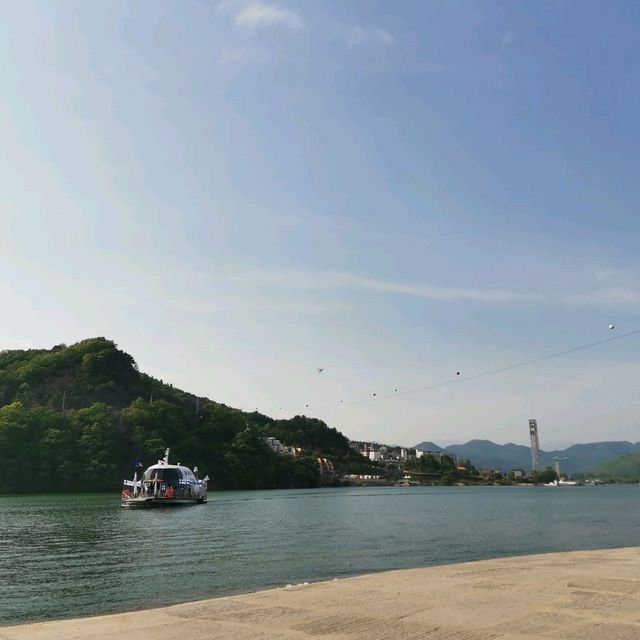 Find your serenity only in Nami Island, South Korea