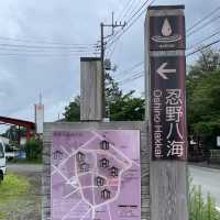 【ペットとお出かけ】忍野八海を散策！