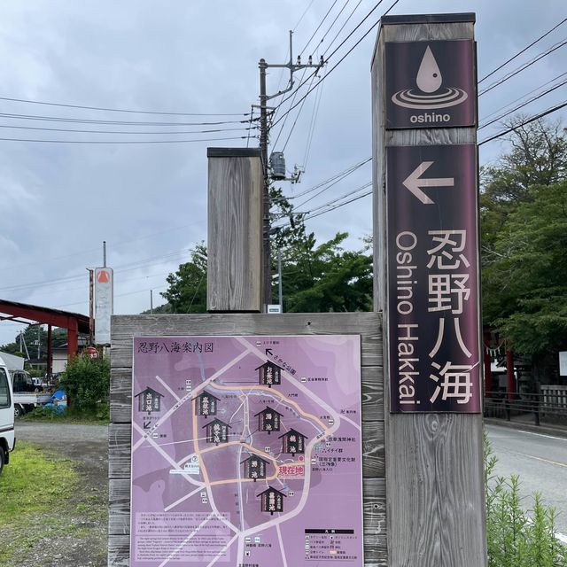 【ペットとお出かけ】忍野八海を散策！