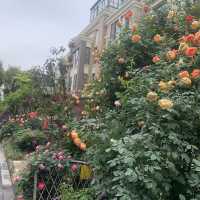 Discover Suzhou of Jiangsu Province 