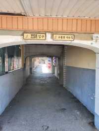 경주의 또다른 여행지 감포 나들이✨️