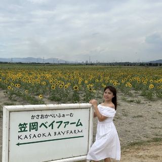 岡山県　笠岡ベイファーム　ひまわり