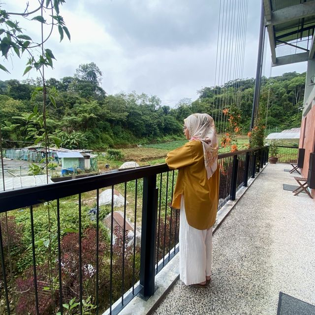 ; Staycation @ 10Mentigi, Cameron Highland.🍓