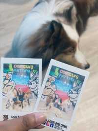 DOG CLUB คาเฟ่น้องหมาสุดไนซ์ที่พัทยา 🐶