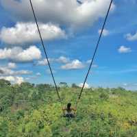 Bali Swing-Unique swing with epic view