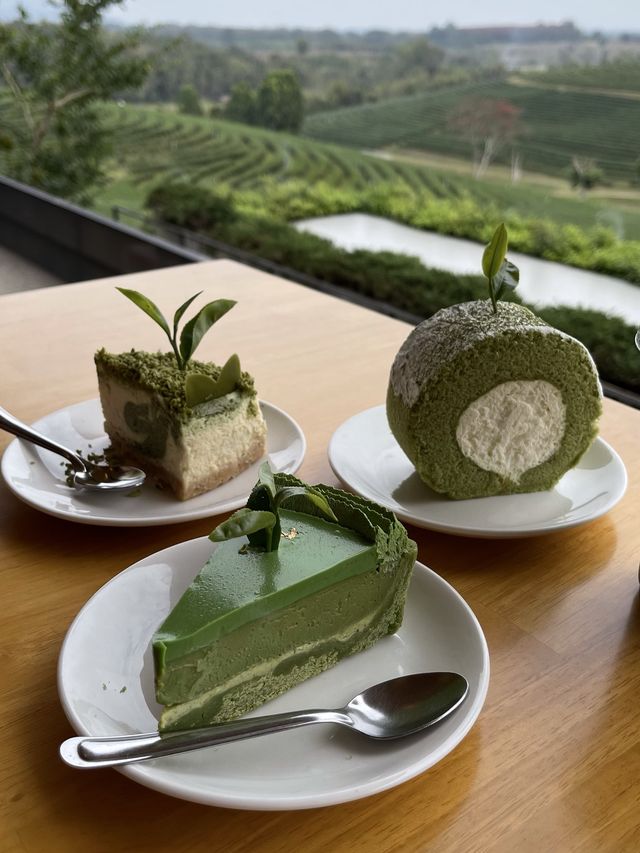 คาเฟ่วิวหลักล้านในไร่ชาฉุยฟง🍵🌱