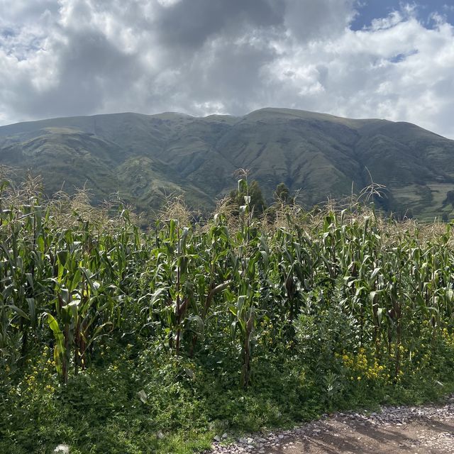 페루 쿠스코 트레킹 풍경 🌳