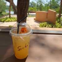 Sicha's cafe and restaurant 🌷⚘️