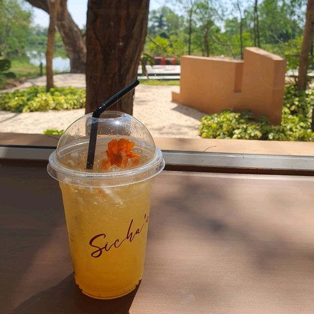 Sicha's cafe and restaurant 🌷⚘️