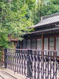 京都 | 必去打卡近郊竹林嵐山🎋