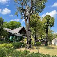 Within Khaoyai (Stonehenge ที่เขาใหญ่)