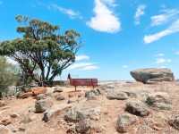 Mt Brown Lookout🏚️😎🤠📸Wongborel🤓