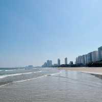 Stunning & clean beach: My Khe Beach 🌴⭐️