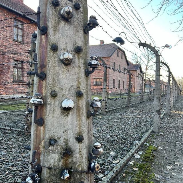 harrowing Auschwitz 
