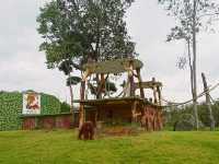House of rescued animals@ Safari Lagoi Bintan