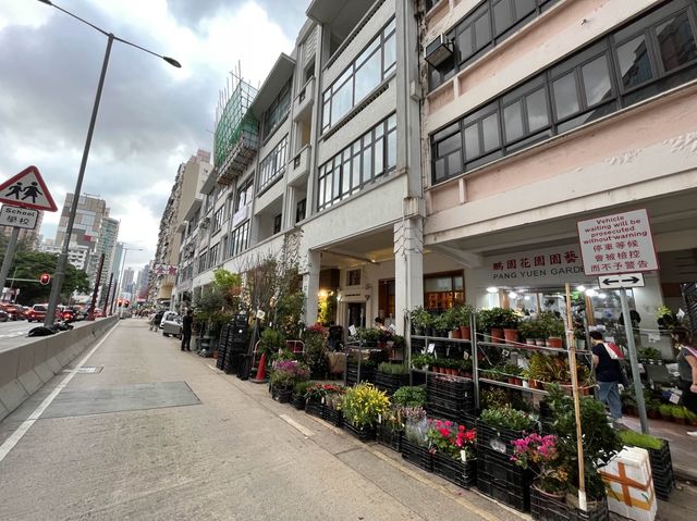 香港特色街道 @ 旺角花墟 香港特色街道 @ 旺角花墟
