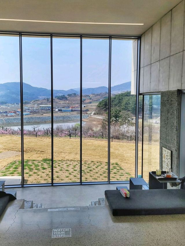 3월초 오픈한 역대급 통창뷰 청도 신상카페🌳☕️
