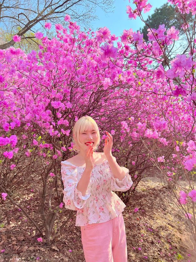 말그대로 꽃동산 그 자체💕