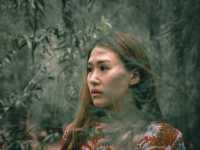 ป่าสน ทับสะแก จ.ประจวบคีรีขันธ์