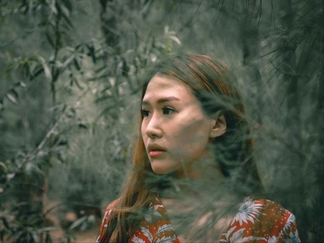 ป่าสน ทับสะแก จ.ประจวบคีรีขันธ์