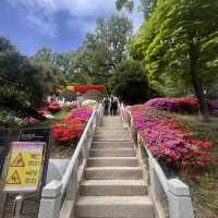 Place to visit in Korea (Bongeunsa Temple)