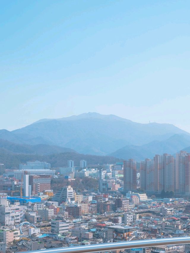 광주시내를 한눈에 볼 수 있는 "사직공원전망대 "