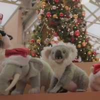 成田空港から一本「上野動物園」