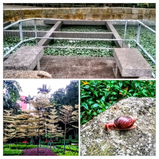 白鴿巢公園🤩奇幻園林風