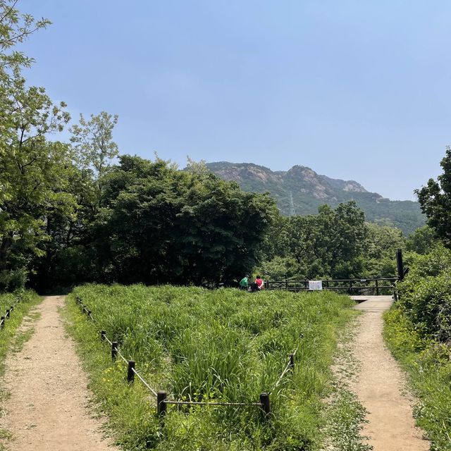 등린이 추천 코스, 북한산 둘레길 8구간 구름정원길