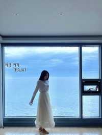 🫧 전객실에서 오션뷰를 보며 수영할 수 있는 이곳 트라제입니다💙🩵🤍 