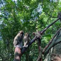 Gunung Keriang: A Scenic Hike With Paddy View