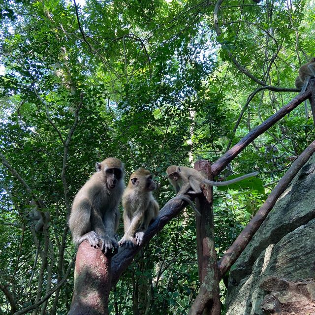 Gunung Keriang: A Scenic Hike With Paddy View