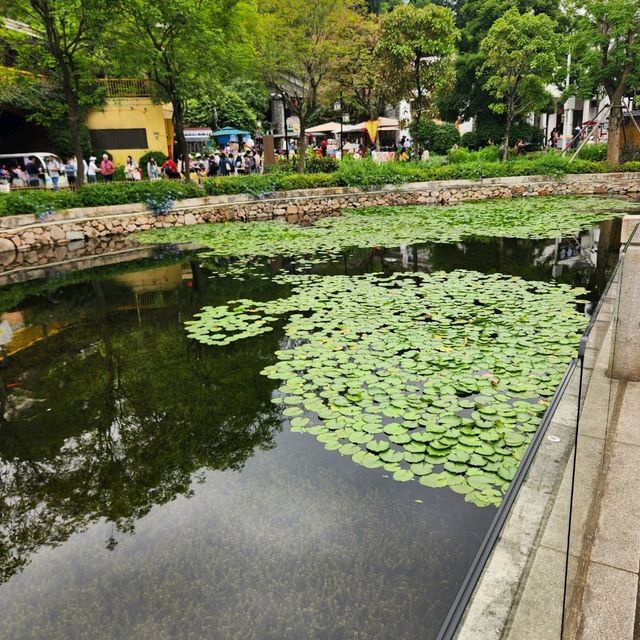 近近地，住係下甘坑感受古鎮內日夜大不同
