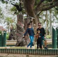 Around Miri for 2 days