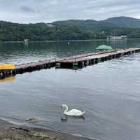 【ペットとお出かけ】山梨県のご当地グルメを堪能！