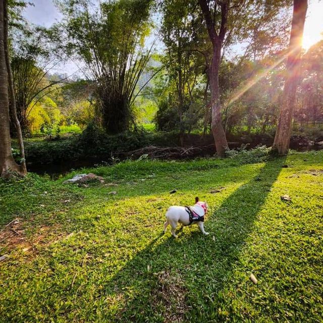 คาเฟ่ลับๆเขาใหญ่ใกล้ชิดธรรมชาติ🌿🌿🌿