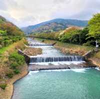 รีวิว โรงแรม Hotel Indigo Hakone Gora