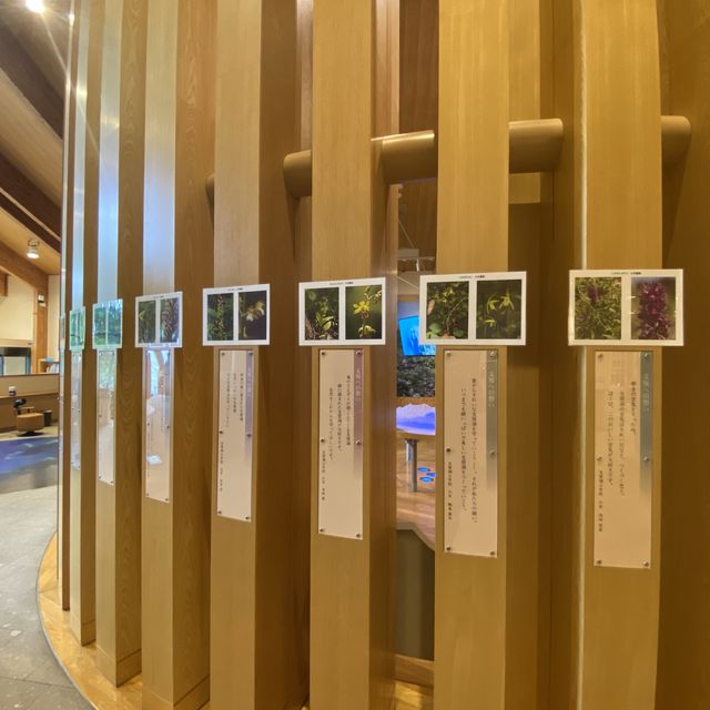 神秘寶石藍，風景如畫，北海道之寶——支笏湖！ 