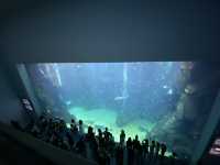 【桃園】- Xpark By CoStudio