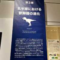 新属新種もりだくさん！期間限定 恐竜博2023 大阪市立自然史博物館